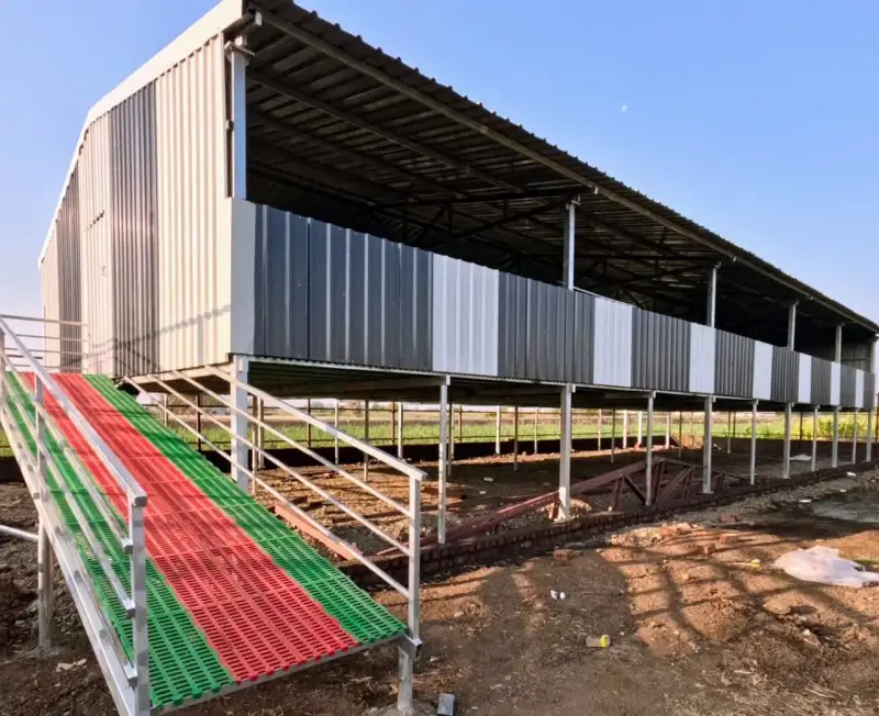 cow shed with milking area India