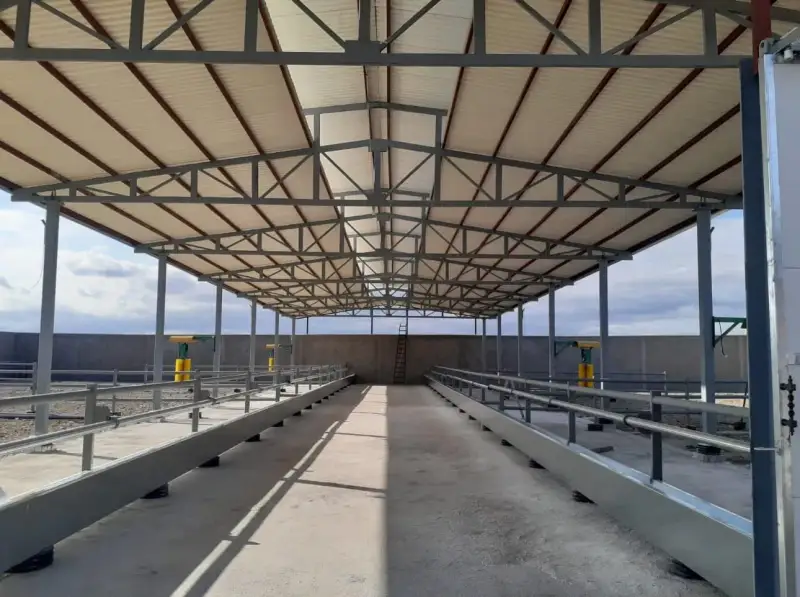 Interior truss roof of an open cattle feeding shed with concrete troughs