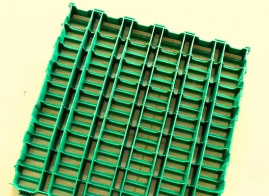 Floor Mat Detail