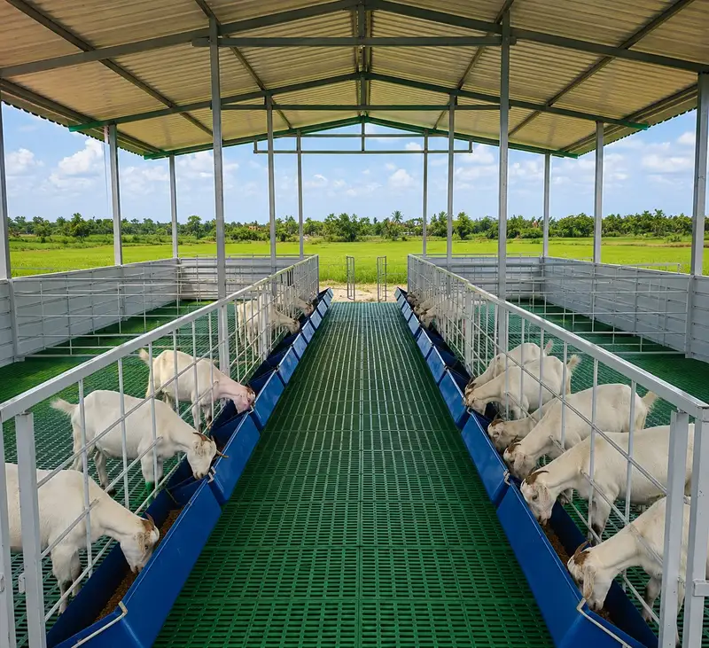 goat farm shed manufacturers India — KPN