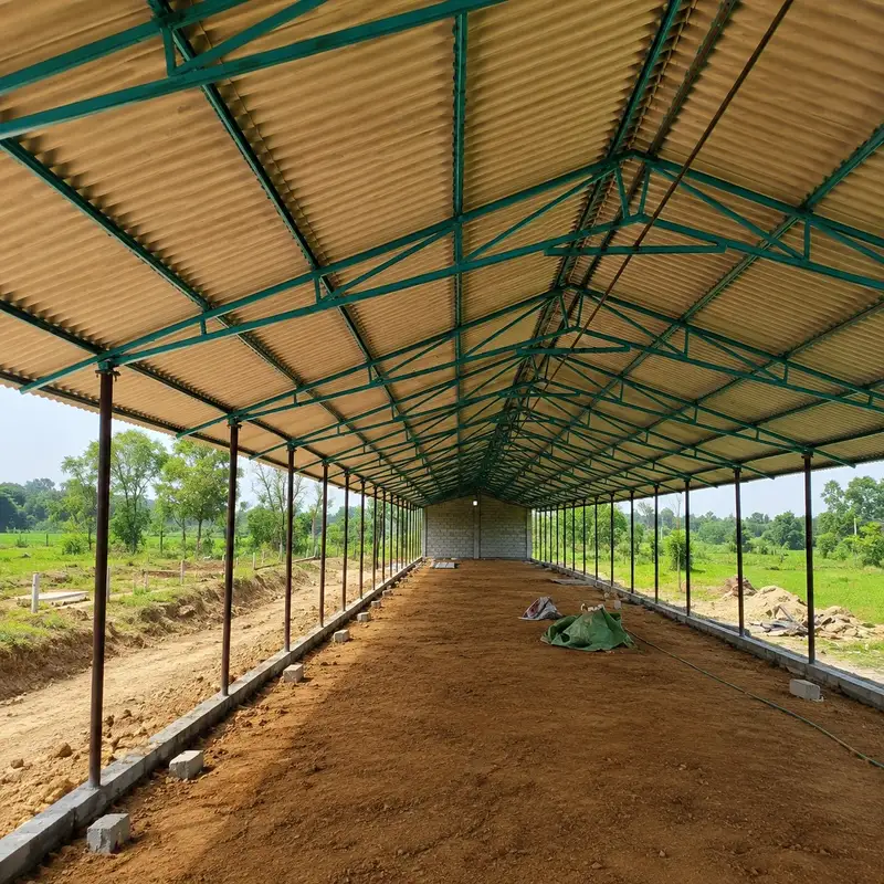 Poultry Farm Shed